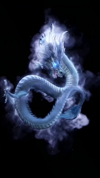 龙