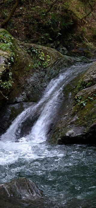 夏日清凉山涧溪流