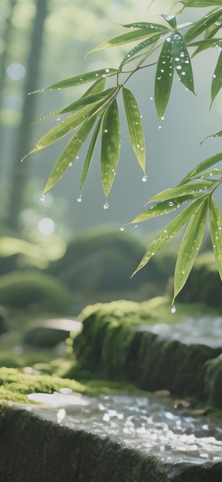 青阶竹林听雨