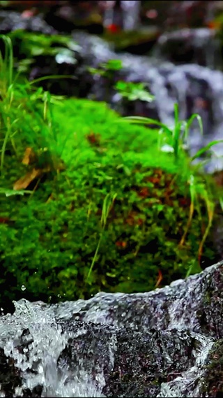 治愈护眼溪流 4K
