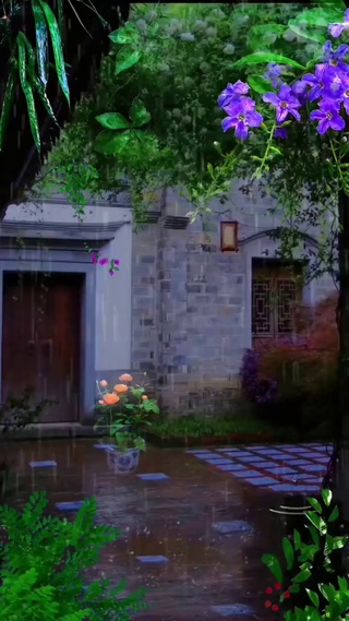 治愈小院