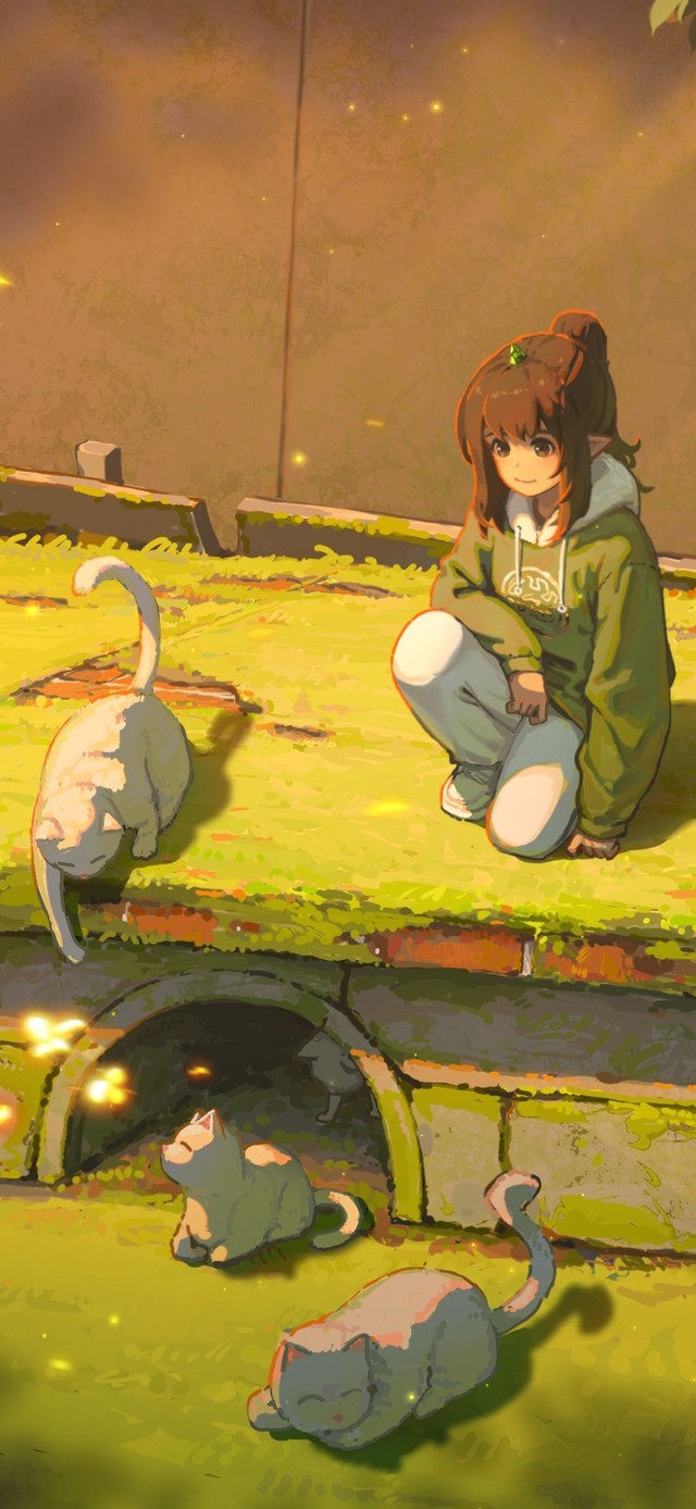 4K治愈猫猫一起晒太阳