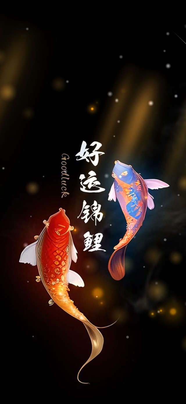 好运来 锦鲤附体