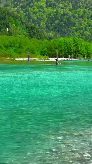 青山绿水河流
