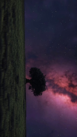 星空下的草地