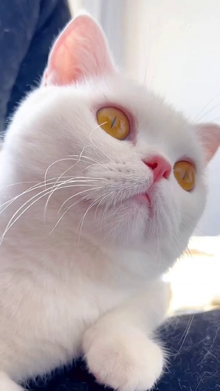 不想花自己的钱