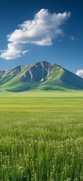 青原远山