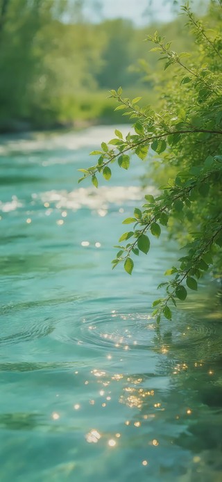 清新治愈夏日溪流