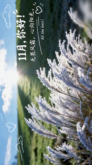 11月你好心向阳光
