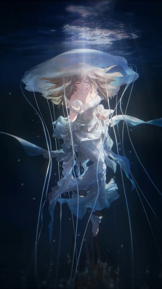 海月流裳