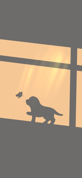 光影 小狗与蝴蝶