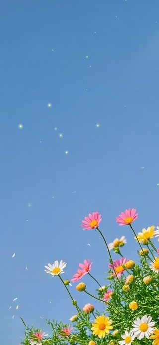 在心里种花