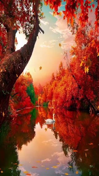 秋天最舒服的季节