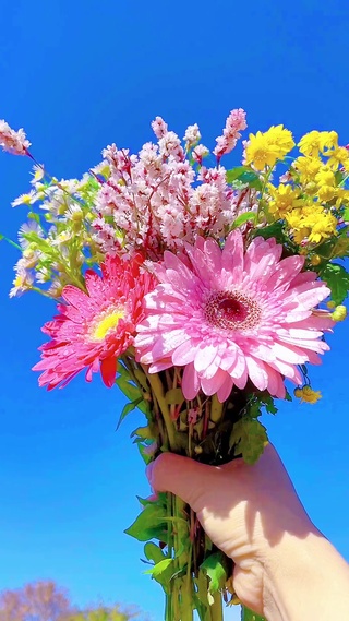 举一把春天的颜色，让它在风中摇曳。