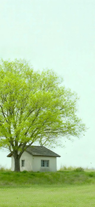 护眼每一天都哇塞