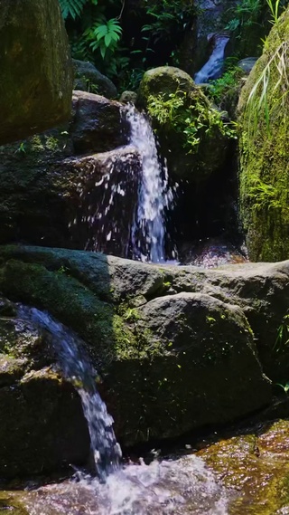 高山流水