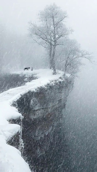 风雪夜归人