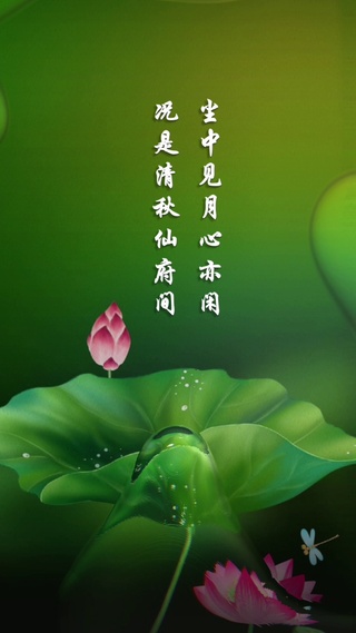 绿色荷叶
