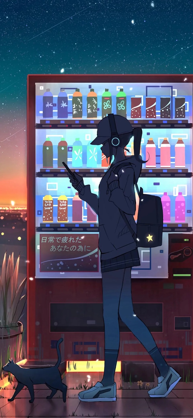 孤独的夜晚和猫