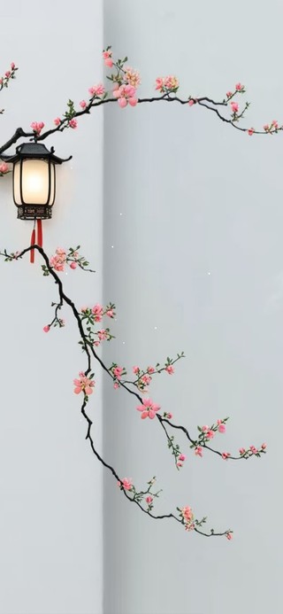 万物皆向阳 古风治愈