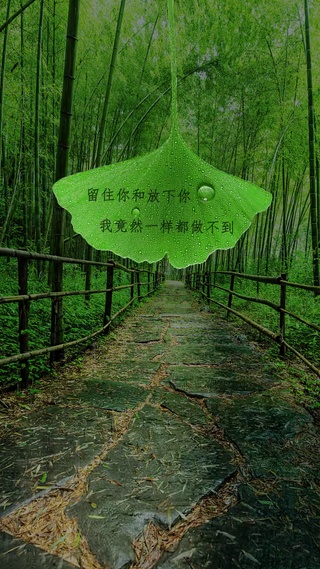留住你和放下你，我竟然一样都做不到
