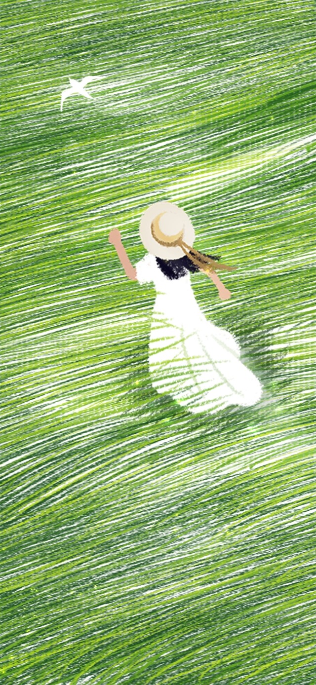 草海（4K超清治愈护眼）