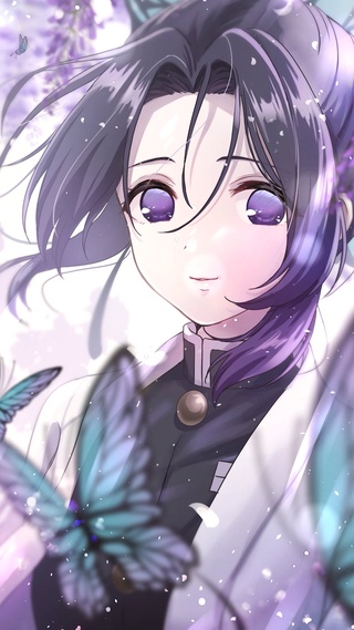 蝴蝶忍