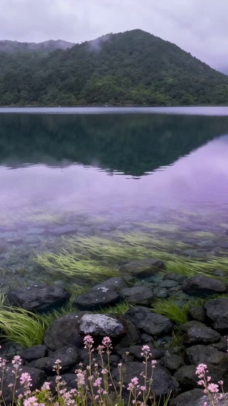 紫雾湖畔