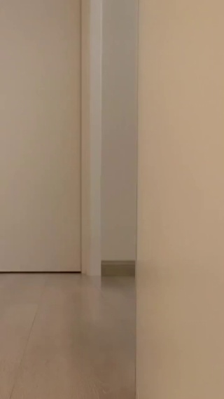 好奇的猫咪