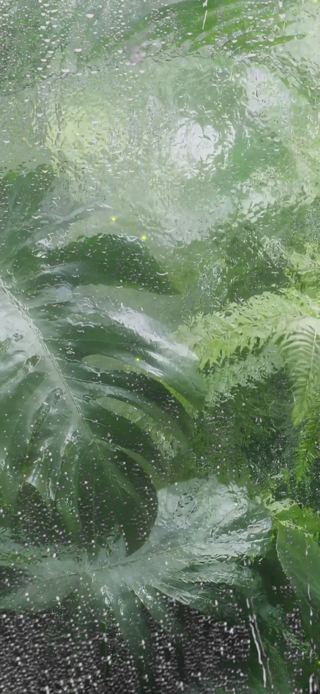 护眼绿植雨滴屏