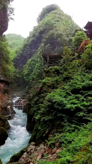 寄情山水间