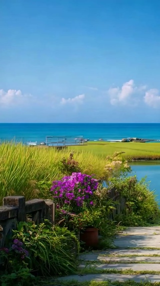 蓝天白云树木海景