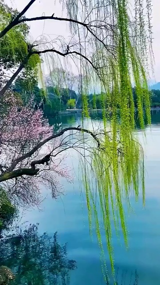 二月春风似剪刀