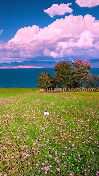 遇见最好的礼物
