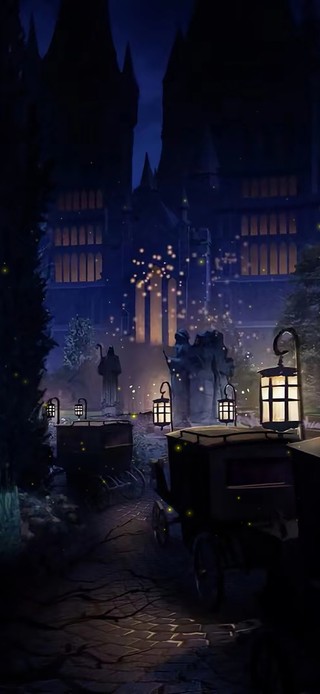 治愈夜晚 森林