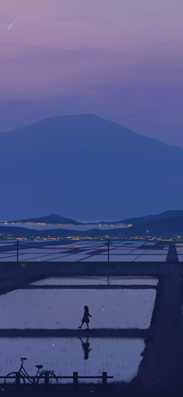 乡间稻田夜景