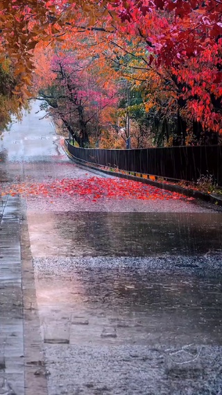 秋雨一场