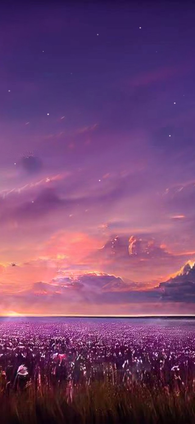 夕阳与薰衣草海