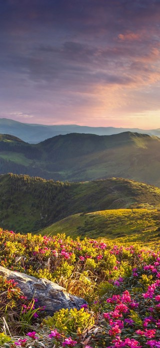 唯美温馨青山