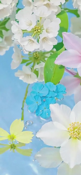 夏日清透水中花壁纸