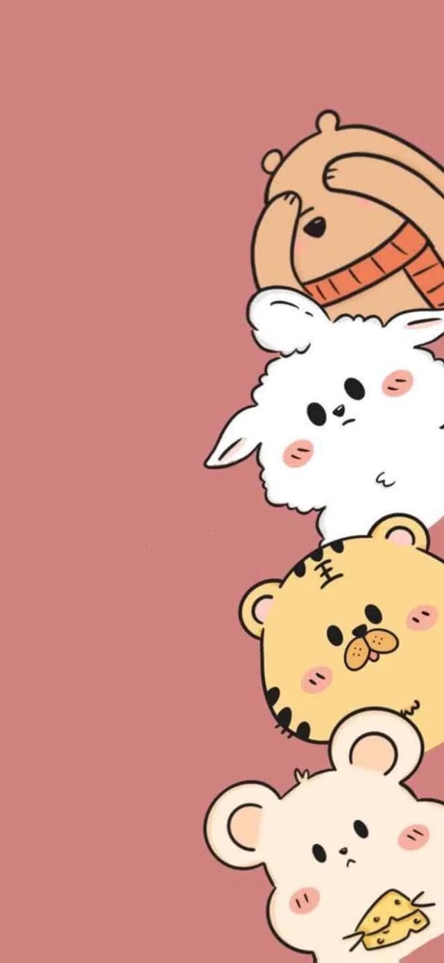 可爱小动物围观～