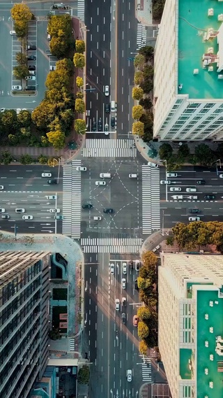 城市花园