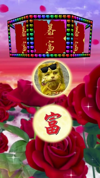 金钱豹（暴富）