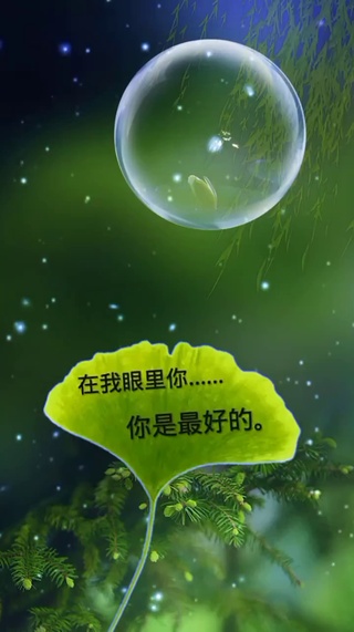 在我眼里你是最好的