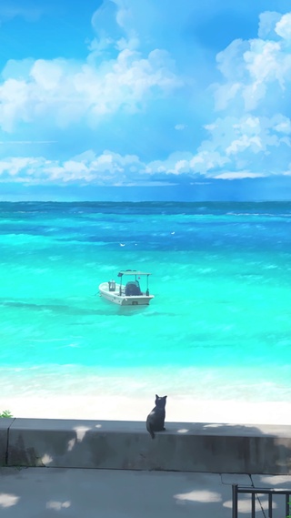 海边猫咪