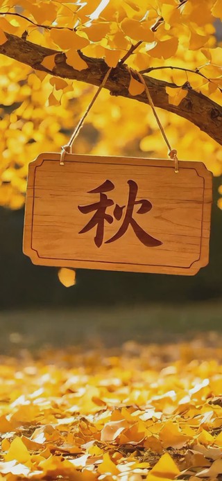 秋天银杏