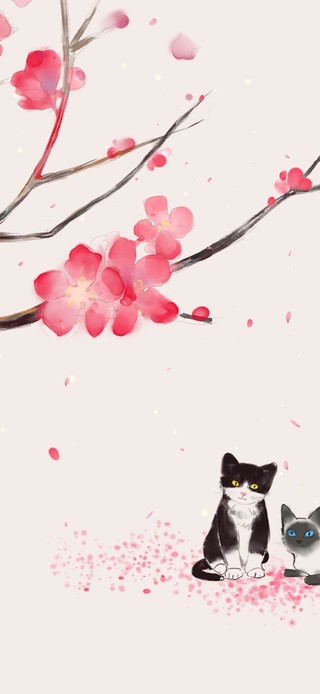 4k 樱花树下猫咪的爱情