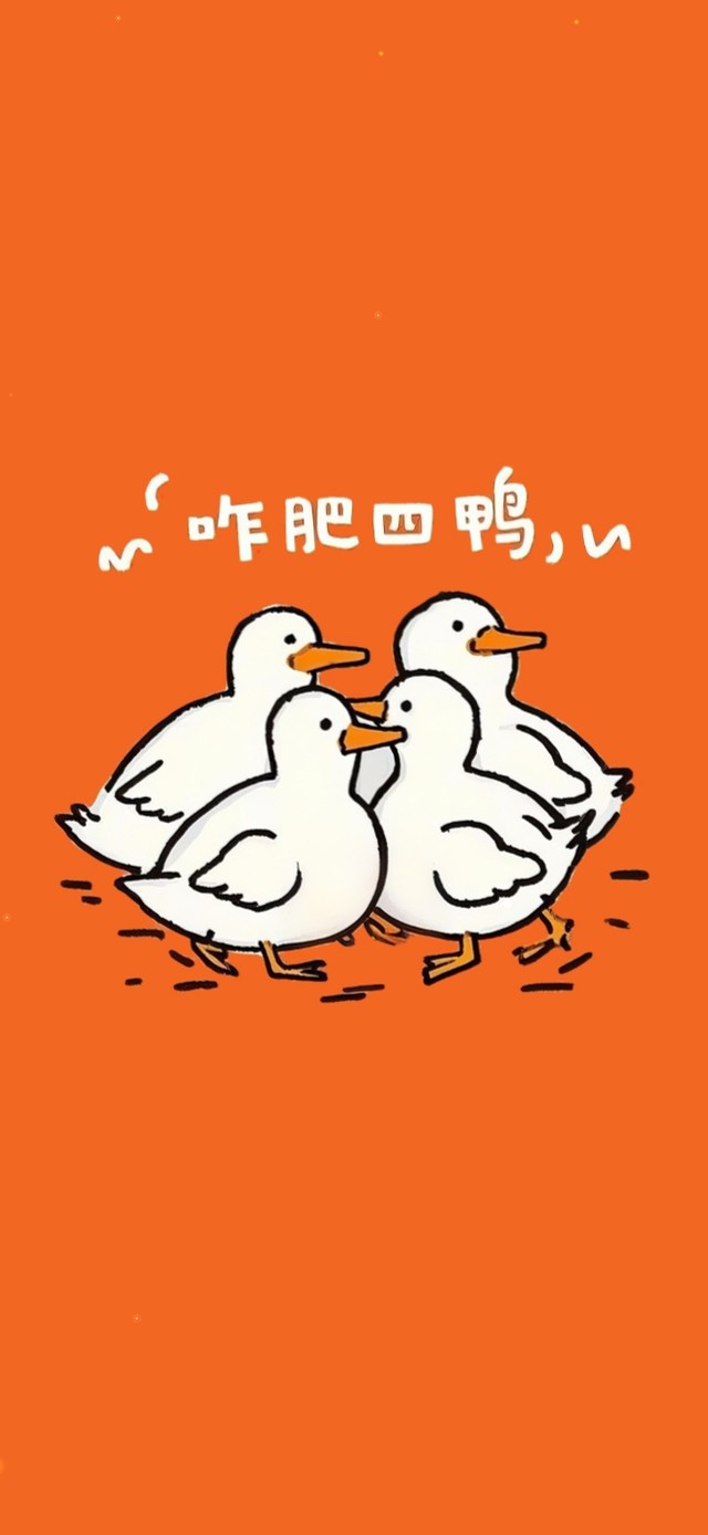 萌鸭的疑惑——咋肥四鸭