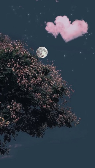 月圆夜色