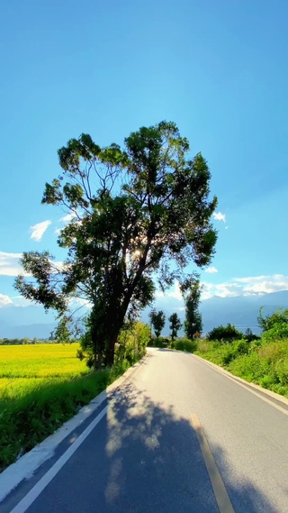 路边随景